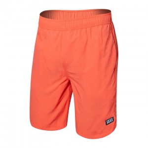 Saxx Go Coastal Shorts | 7346-VSKZE