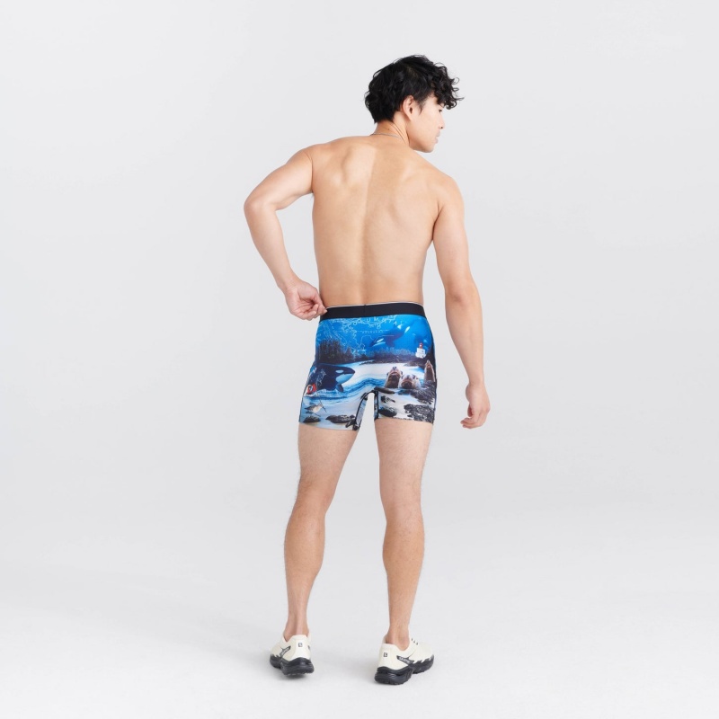 Saxx Volt Underwear | 0254-LZDET